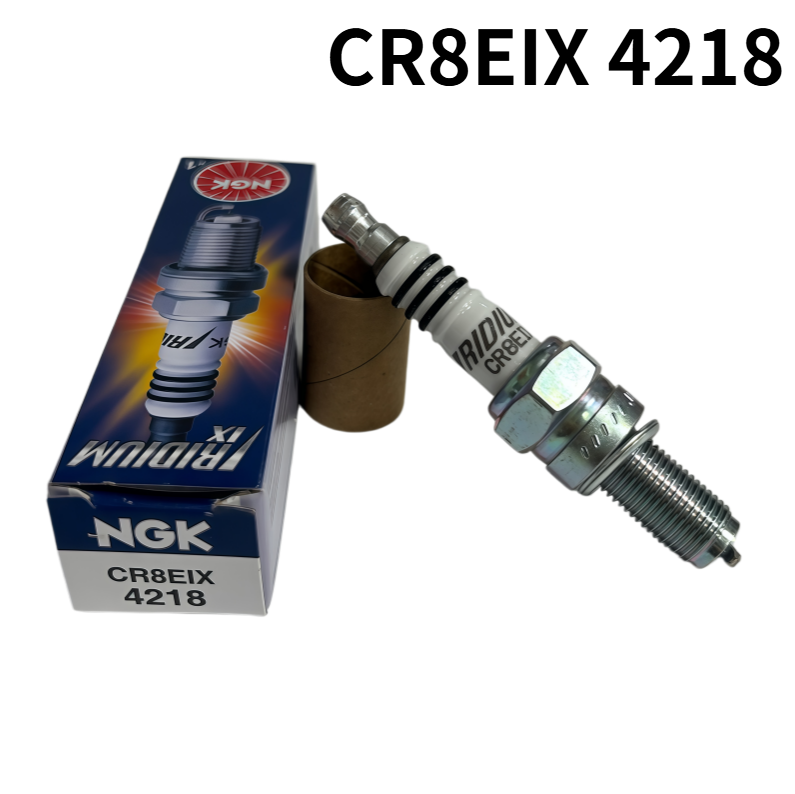 1Pc NGK CR8EIX 4218 Iridium IX - Ngk Spark Plug Iridium Ix 评论和价格